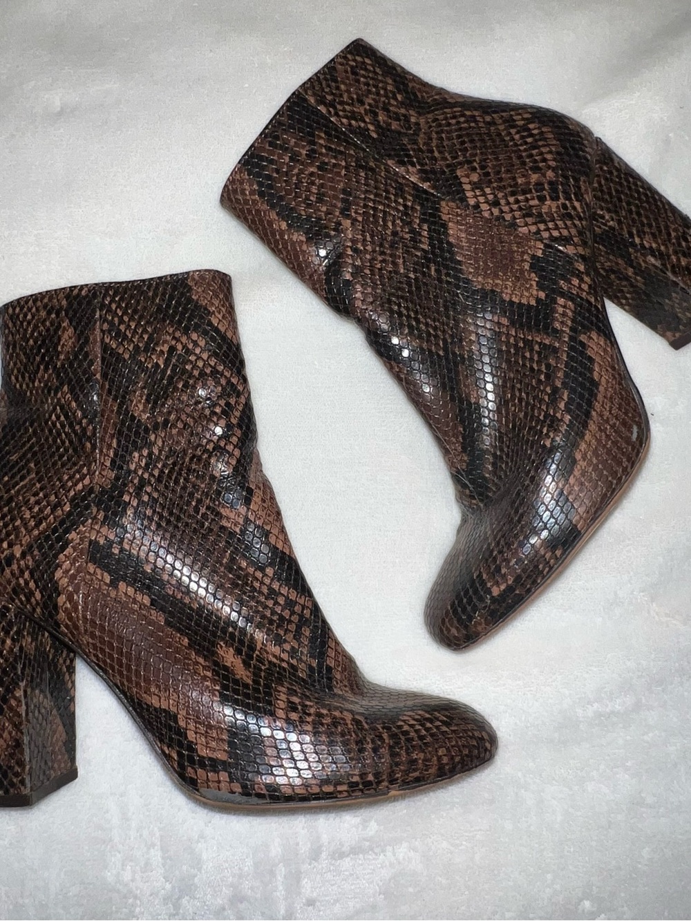 Steve Madden Brown & Black Snake-Print Ankle Boots